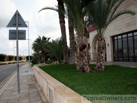 Business property, 8015, Paphos (Pafos), Paphos Region, Cyprus