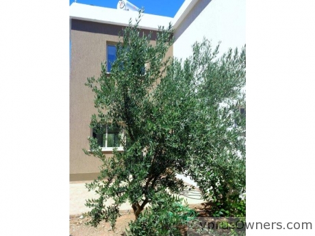 Mezonet\Townhouse, 8507, Timi, Paphos Region, Cyprus