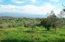 耕种用地, 出售, 4651, Trachoni, Limassol Region, Cyprus