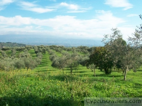 Αγροτικό ακίνητο, 4651, Trachoni, Limassol Region, Cyprus